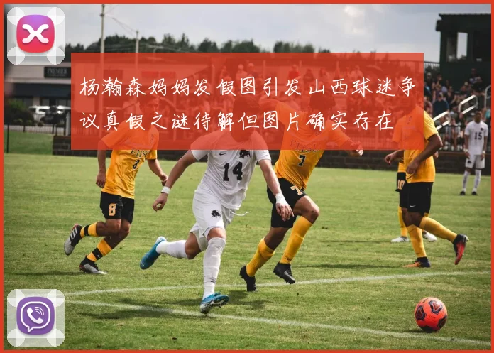 杨瀚森妈妈发假图引发山西球迷争议真假之谜待解但图片确实存在