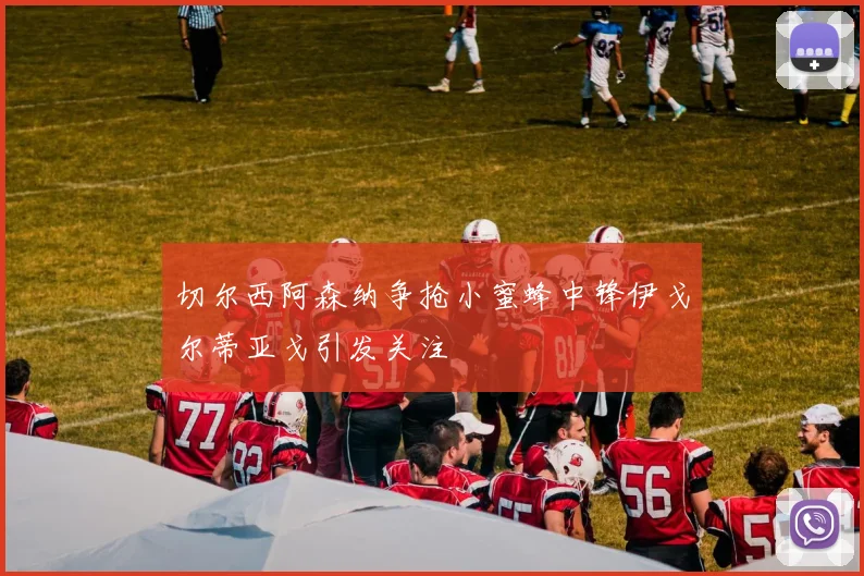 切尔西阿森纳争抢小蜜蜂中锋伊戈尔蒂亚戈引发关注