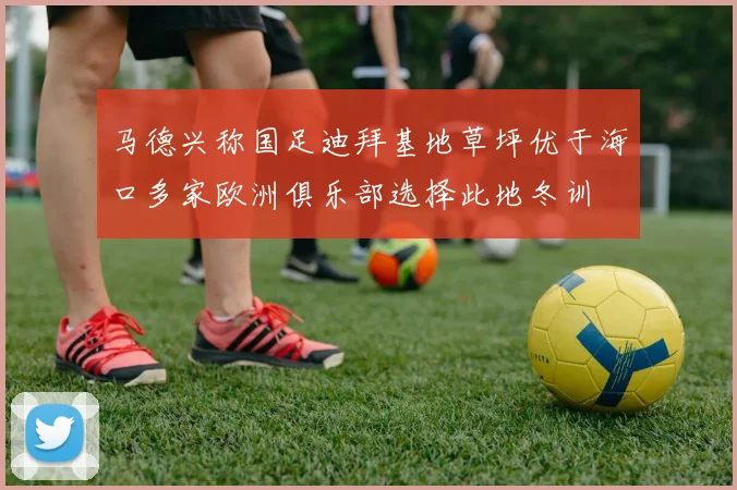 马德兴称国足迪拜基地草坪优于海口多家欧洲俱乐部选择此地冬训